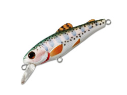 Rainbow Trout-1