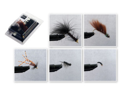 SET-FLIES-GOLAVL