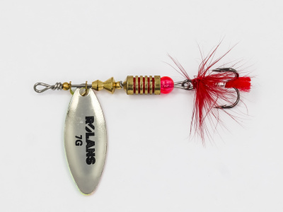 ROL-BUG-DR7-003 (3)