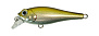 CNT-1