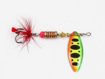ROL-BUG-DR7-003 (2)