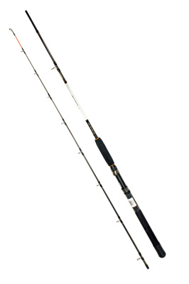 Спиннинги Daiwa