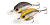 OSP lures  NL_0009_Tiny Blitz MR