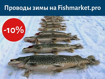 Акция на все товары для зимней рыбалки!